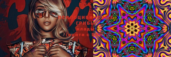дмт Алексеевка