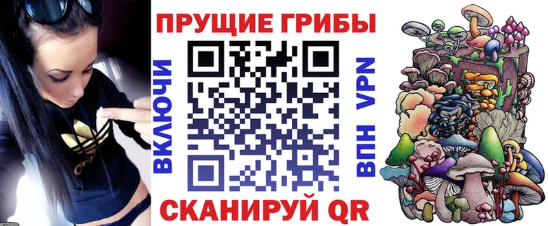 цены   Нижний Ломов  гидра   Псилоцибиновые грибы GOLDEN TEACHER 